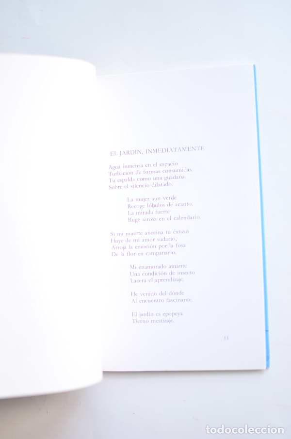 Libros de segunda mano: Regreso a Belvedere - PLANAS FERRER, Rosa - Foto 3