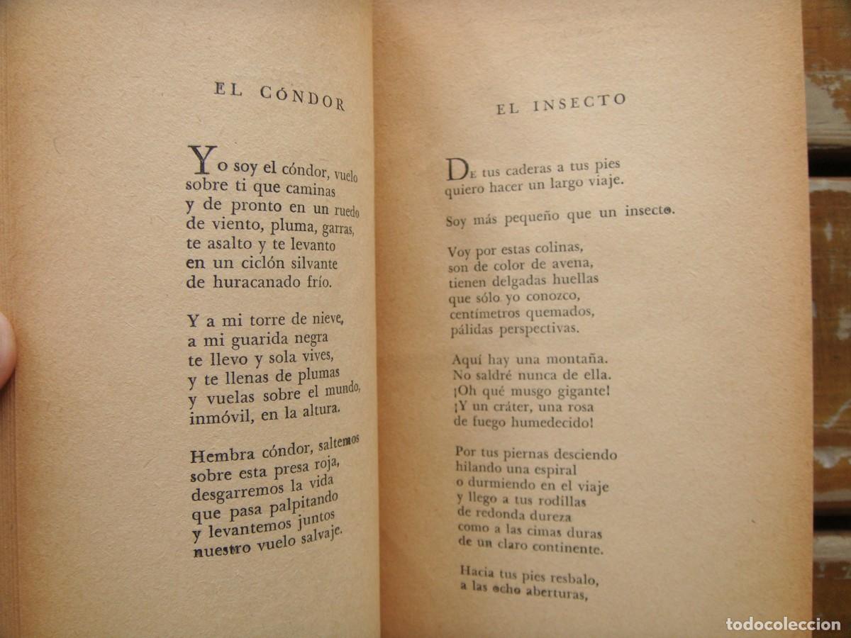 Libros de segunda mano: [ANONIMO] NERUDA Pablo: LOS VERSOS DEL CAPITAN. - Foto 5