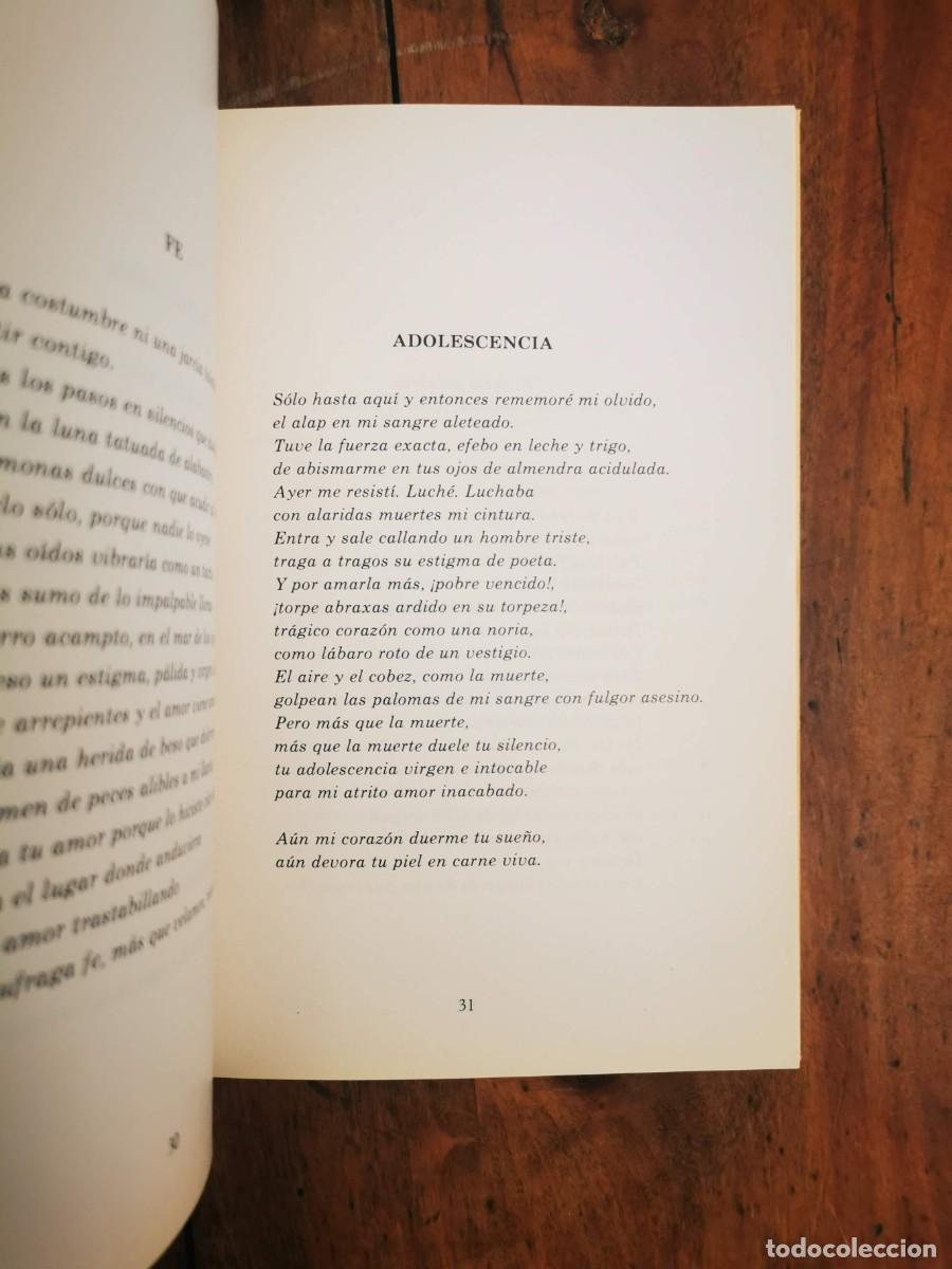 Libros de segunda mano: GAHETE, Manuel. Nacimiento al amor - Foto 3