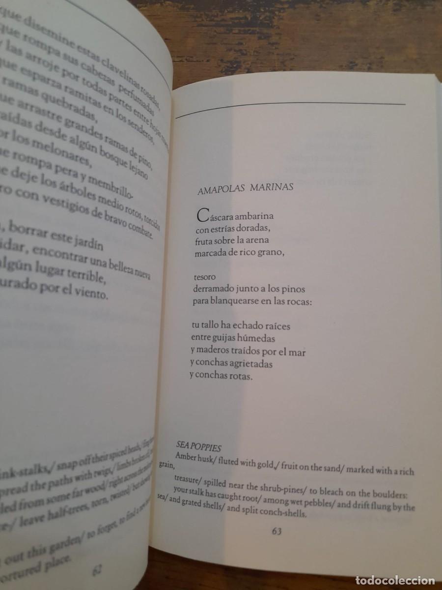 Libros de segunda mano: Jard&iacute;n junto al mar, Hilda Doolittle - Foto 3