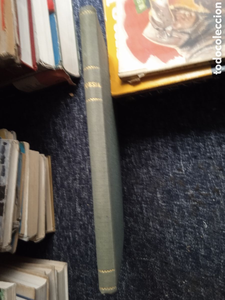Libri di seconda mano: VERSOS A VENEZUELA - ALIVIO DE MIS PENAS / RAFAEL DEL BOSQUE