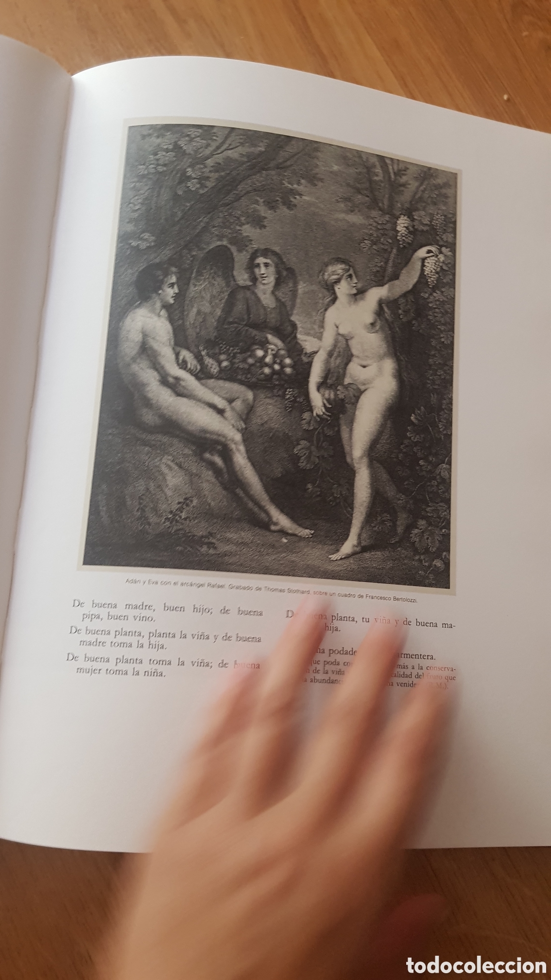 Libros de segunda mano: Los refranes del vino y la vid - Foto 4
