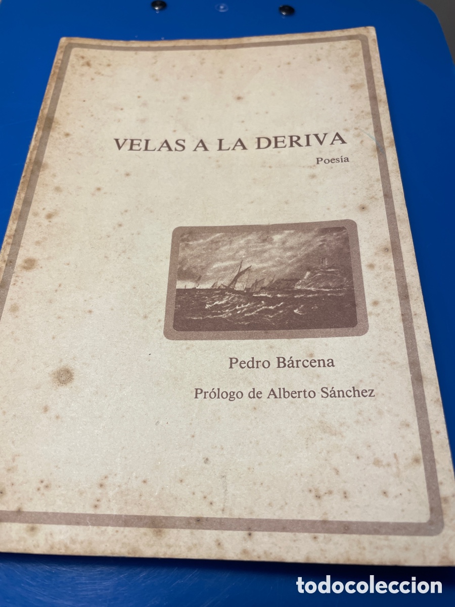 Velas a la deriva / B&aacute;rcena, Pedro