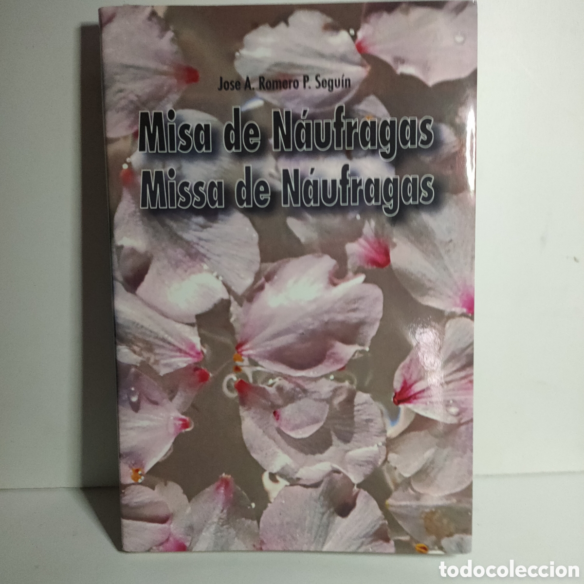 Libros de segunda mano: MISA DE N&Aacute;UFRAGAS' . Jos&eacute; A. Romero P. Seguin .poemario 2019. Firmado por autor con poema in&eacute;dito.