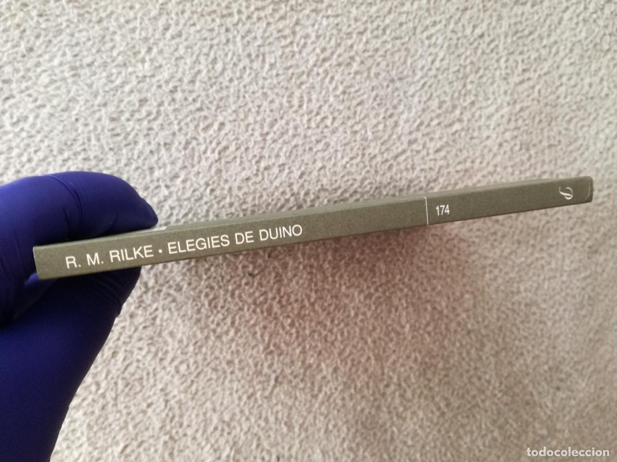 Libros de segunda mano: RAINER MARIA RILKE - ELEGIES DE DUINO - ED. PROA - CATALA - Foto 2
