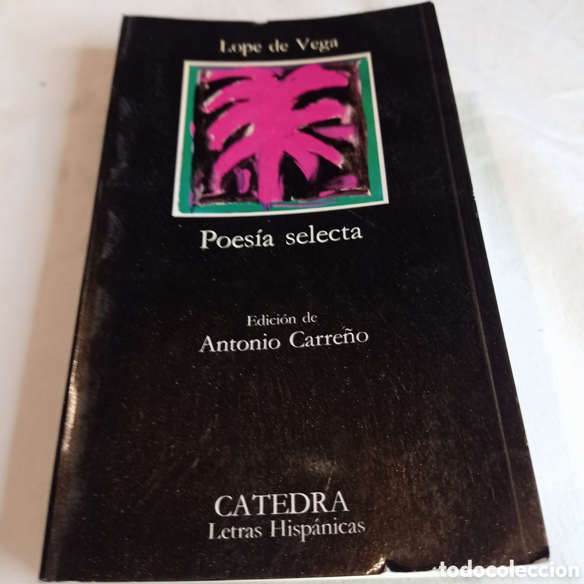 Libros de segunda mano: LOPE DE VEGA,POESIA SELECTA - Foto 1