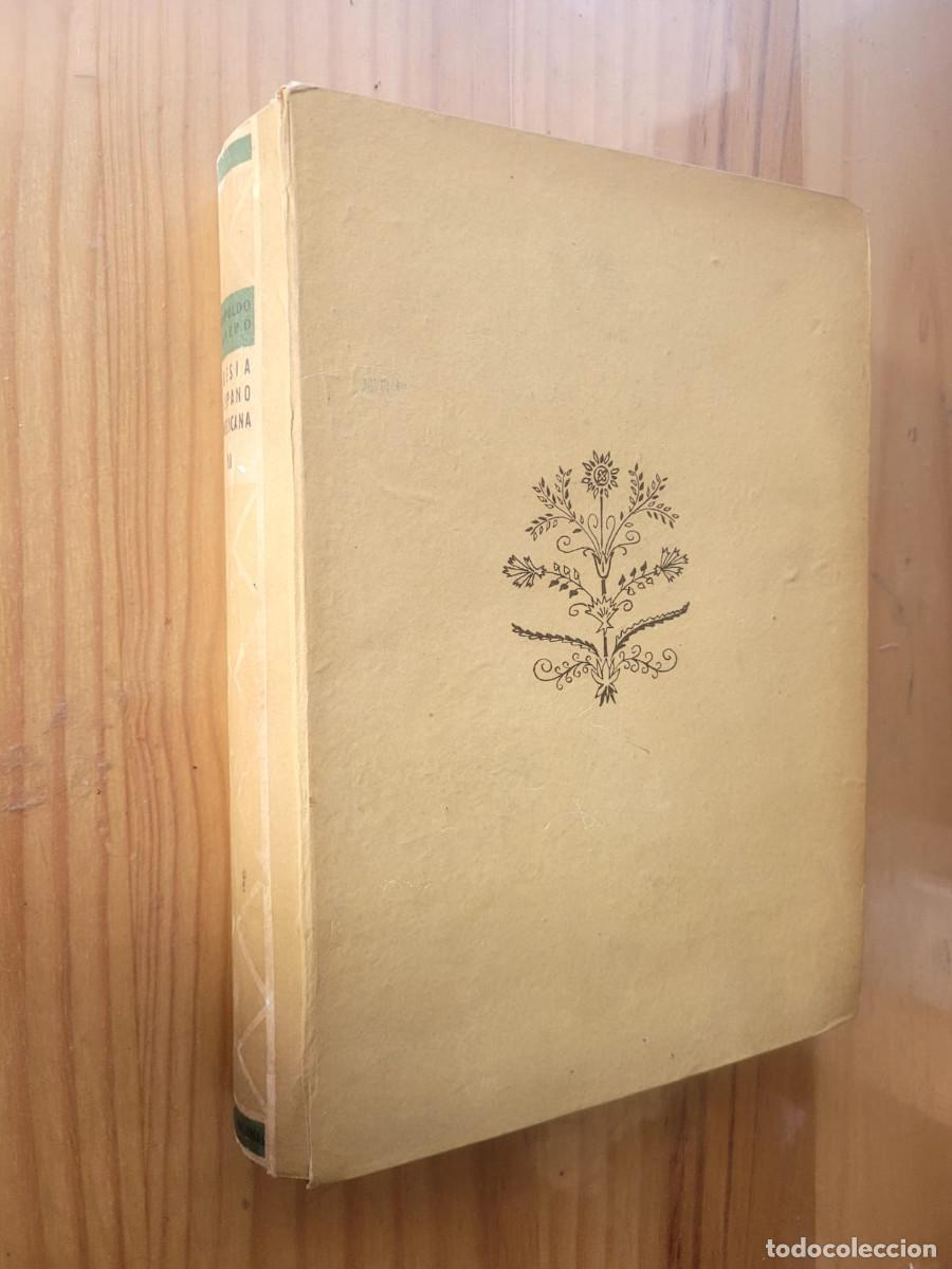 Livros em segunda m&atilde;o: POES&Iacute;A HISPANOAMERICANA II - LEOPOLDO PANERO