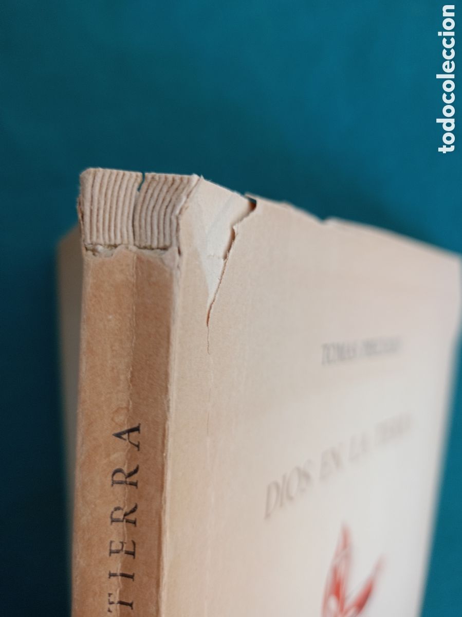 Libros de segunda mano: DIOS EN LA TIERRA, TOM&Aacute;S PRECIADO - Foto 8