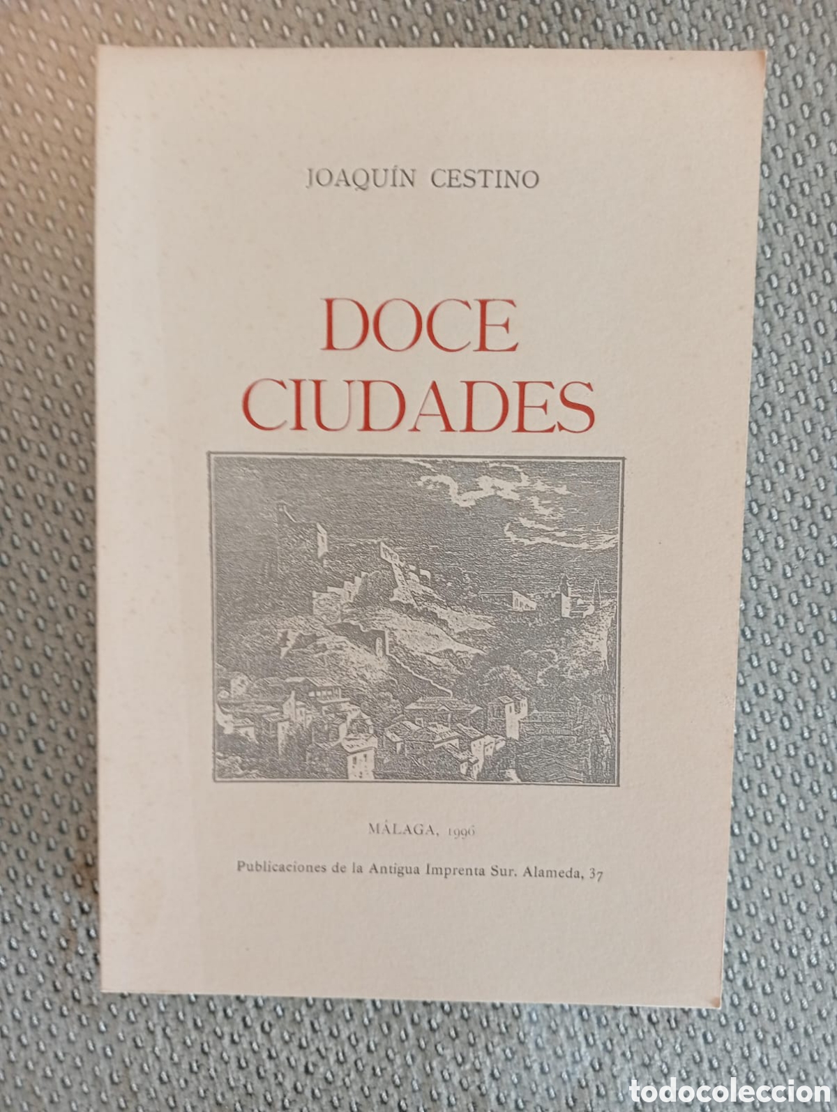 Libros de segunda mano: Doce ciudades / Joaqu&iacute;n Cestino - Foto 1