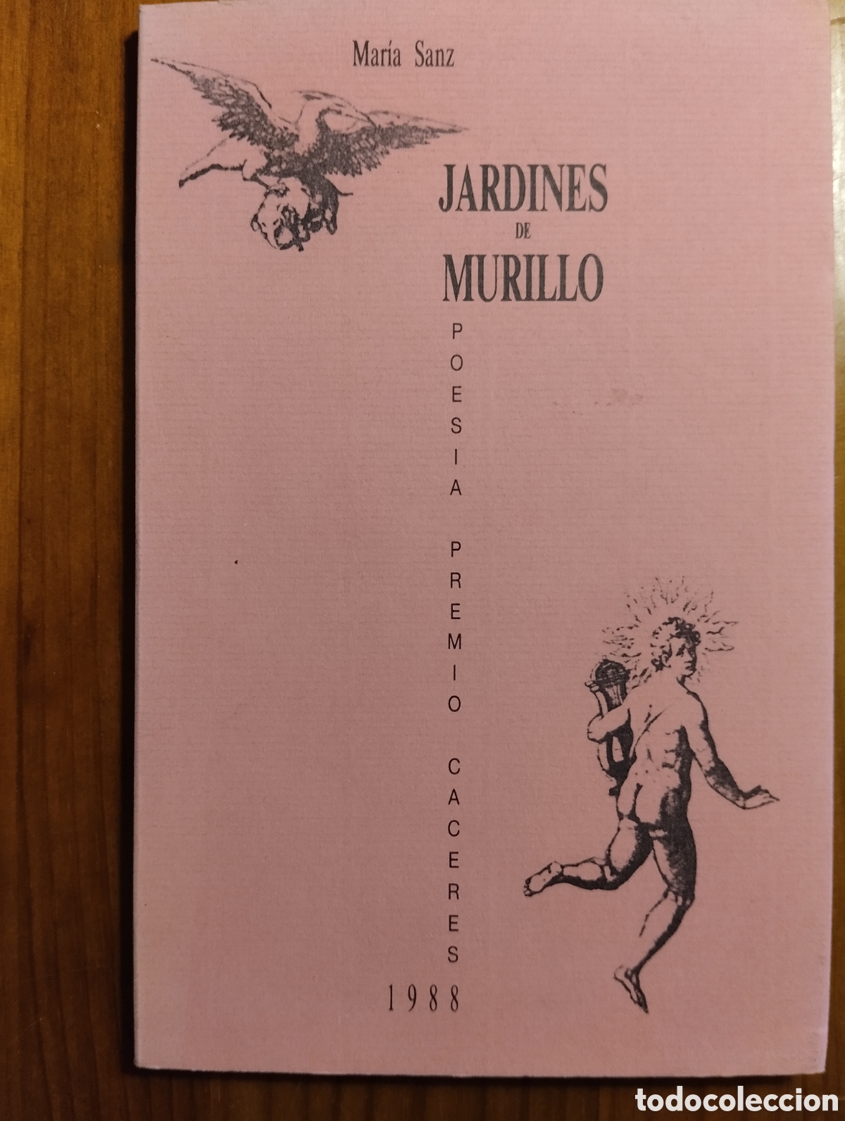 Libros de segunda mano: Jardines de Murillo, Mar&iacute;a Sanz - Foto 1