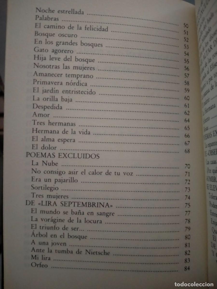 Libros de segunda mano: EDITH SODERGRAN. ANTOLOG&Iacute;A PO&Eacute;TICA .VISOR - Foto 3