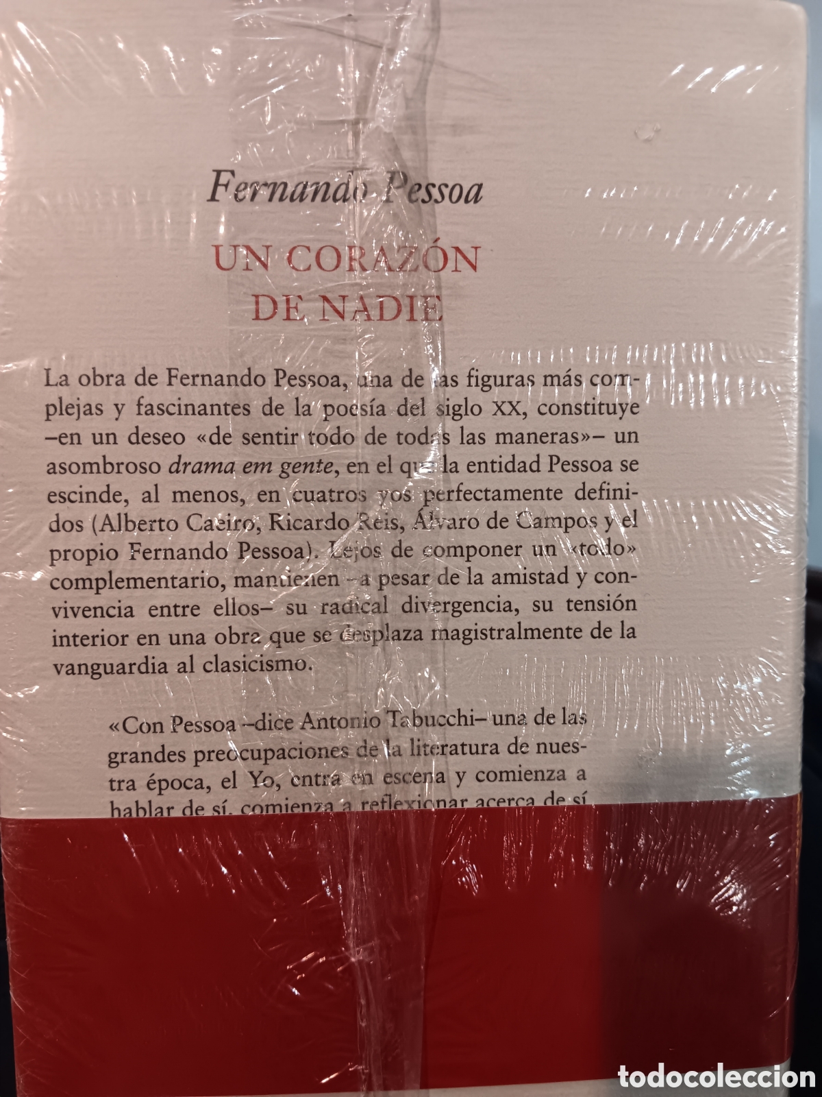 Libros de segunda mano: Fernando Pessoa. Un coraz&oacute;n de nadie - Foto 2