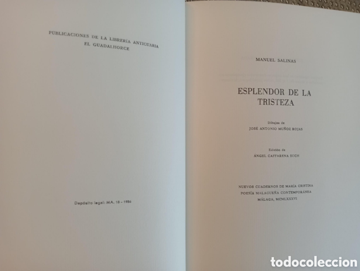 Libros de segunda mano: Esplendor de la tristeza / Manuel Salinas - Foto 2