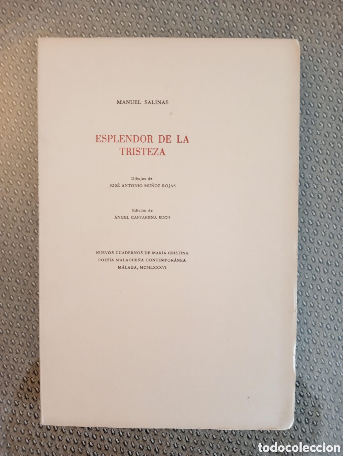Libros de segunda mano: Esplendor de la tristeza / Manuel Salinas - Foto 1