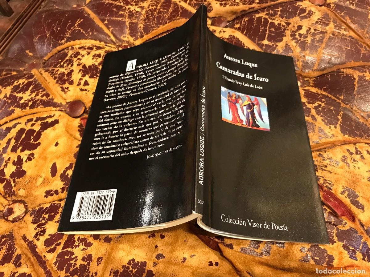 Libros de segunda mano: AURORA LUQUE. CAMARADAS DE &Iacute;CARO. ED. VISOR, 2003 (DEDICATORIA DE LA AUTORA) - Foto 1