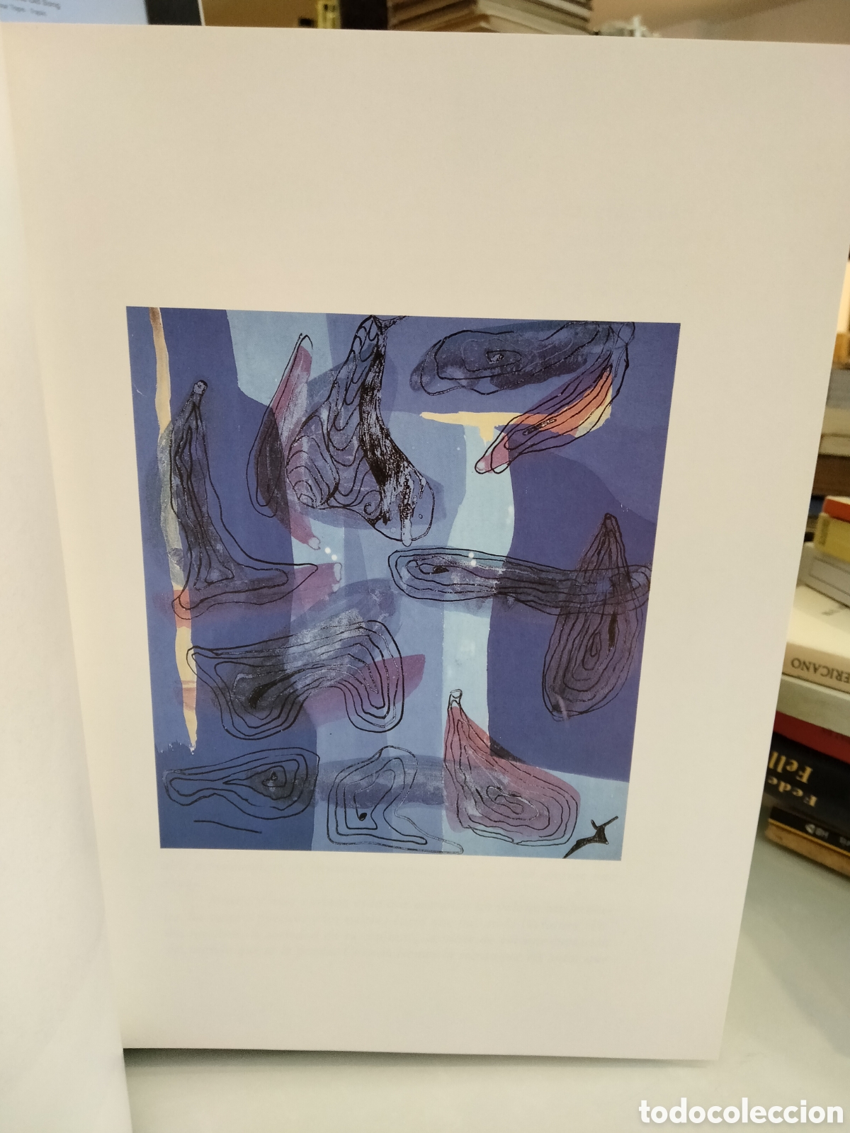 Libros de segunda mano: Encuentro con Jos&eacute; Hierro - Foto 2