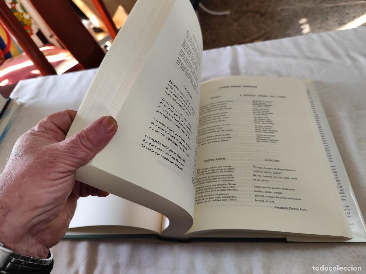 Libros de segunda mano: GARCILASO, JUVENTUD CREADORA / VISOR LIBROS / SUX 08 / - Foto 17