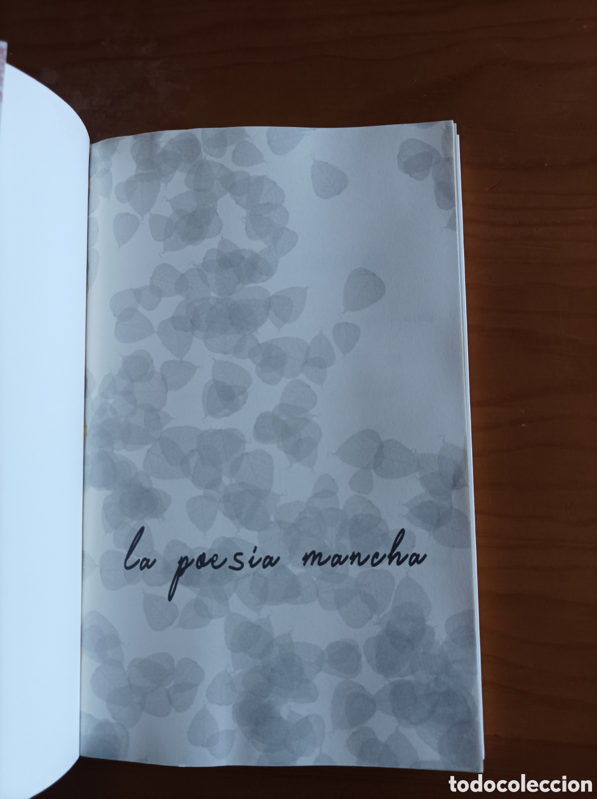 Libros de segunda mano: Apolog&iacute;a del siempre - Andrea Pinacho - Foto 2