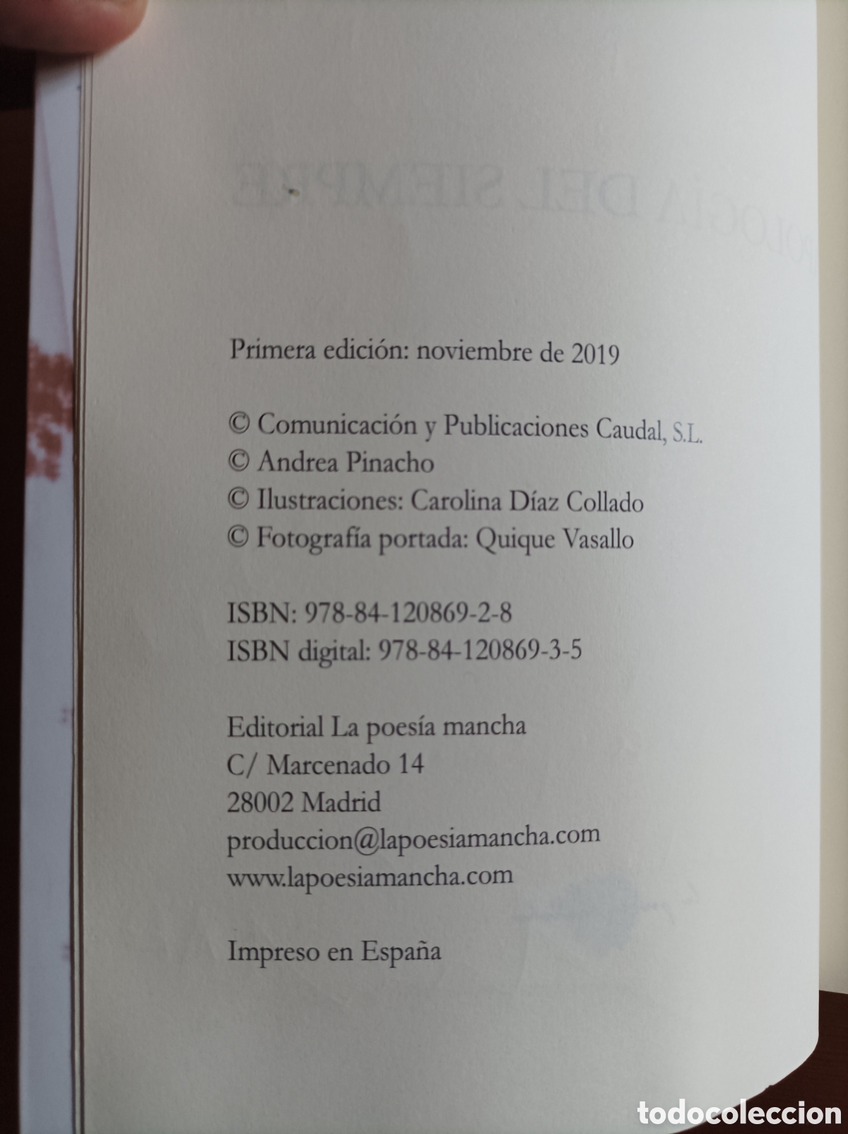 Libros de segunda mano: Apolog&iacute;a del siempre - Andrea Pinacho - Foto 5