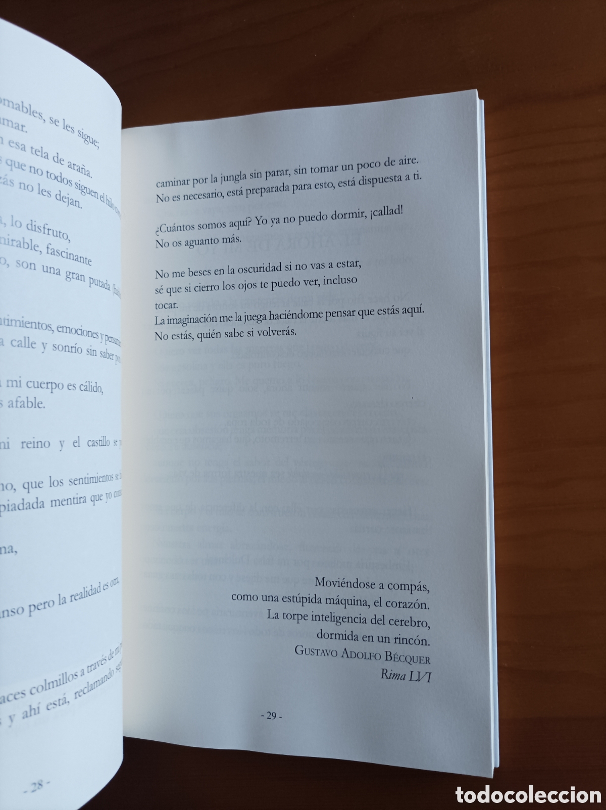 Libros de segunda mano: Apolog&iacute;a del siempre - Andrea Pinacho - Foto 7