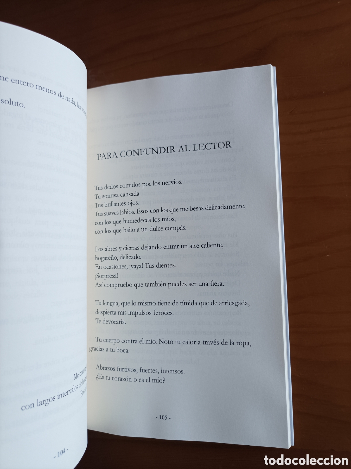Libros de segunda mano: Apolog&iacute;a del siempre - Andrea Pinacho - Foto 9