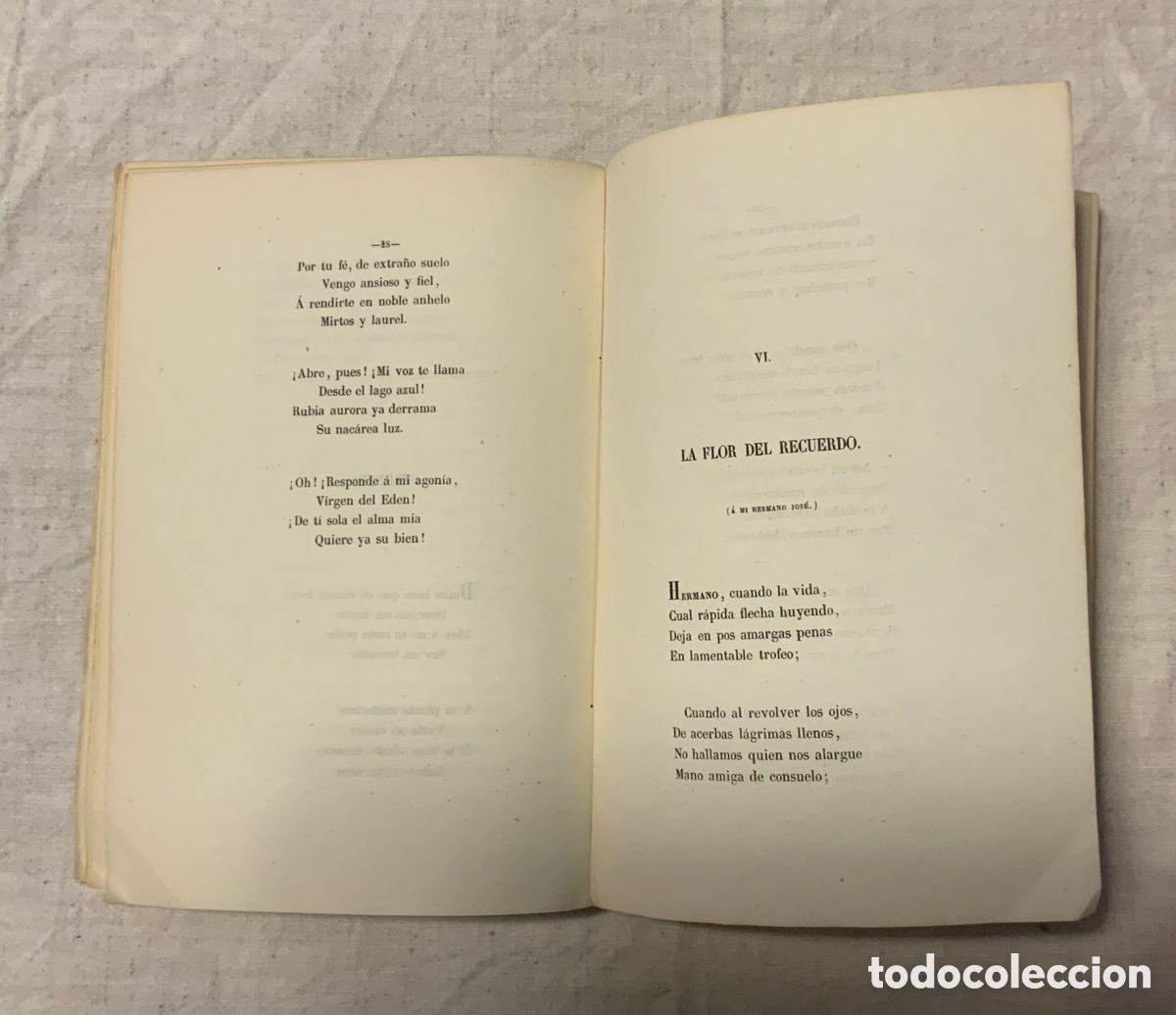 Libros de segunda mano: Ecos del T&aacute;der. Antonio Armao - Foto 6