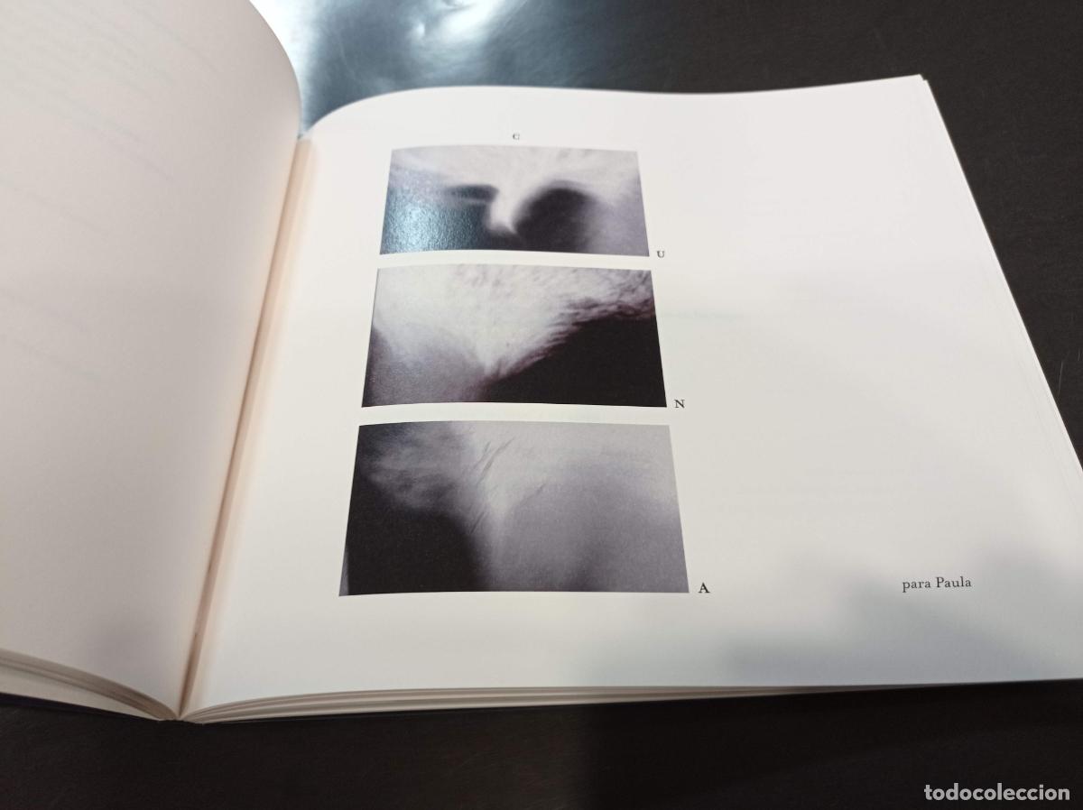 Libros de segunda mano: 2018 - MARCOS CANTELI. s/7 - Foto 2