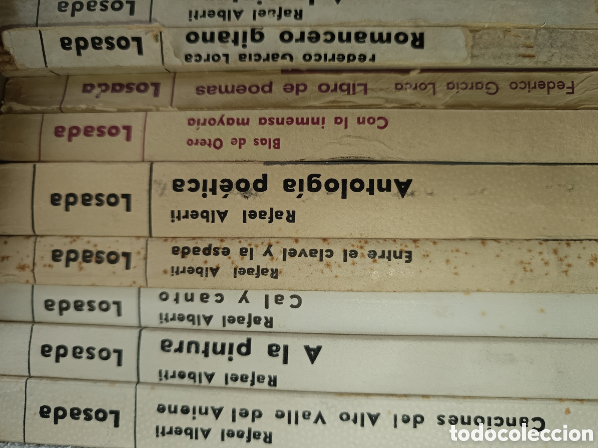 Lote 43 libros poes&iacute;a