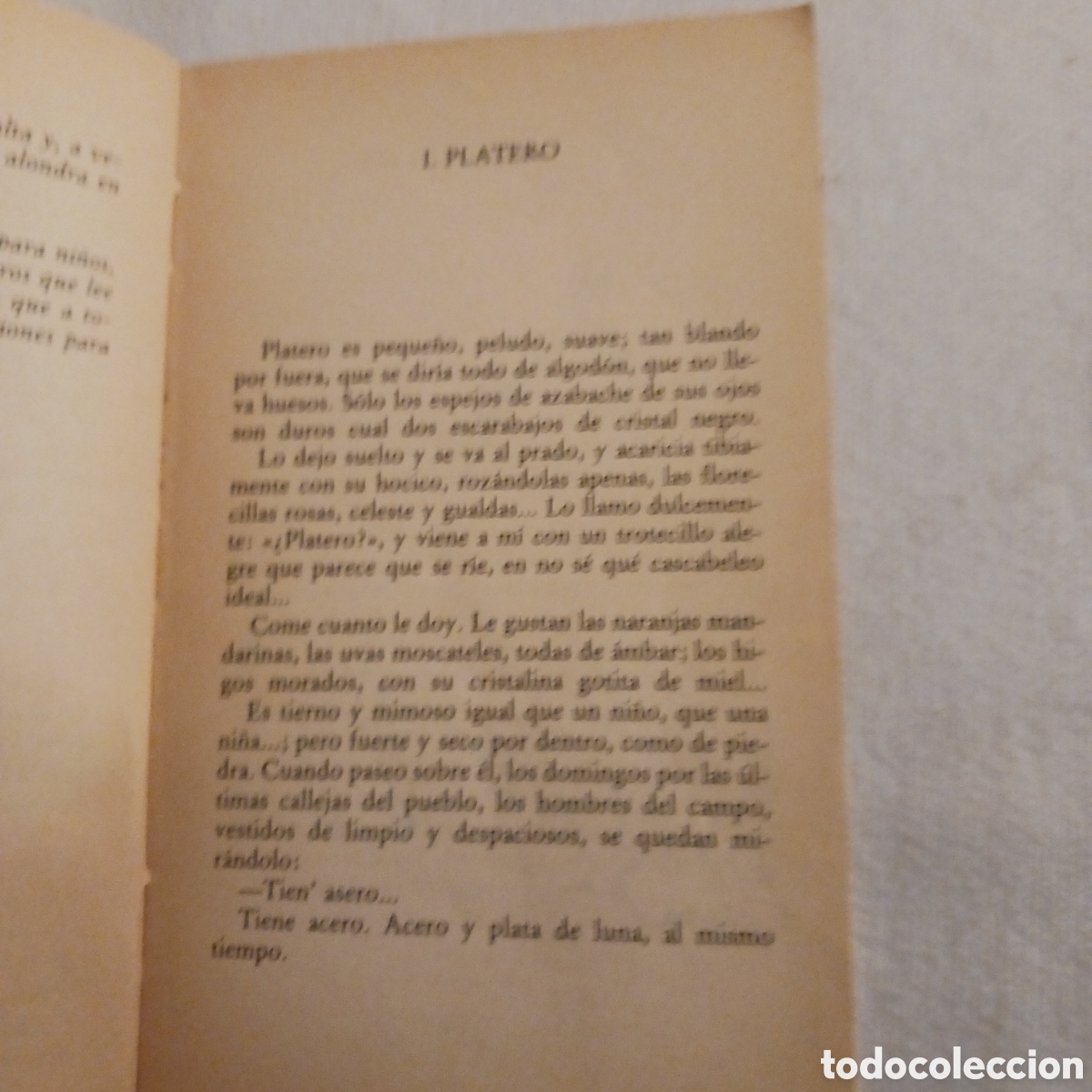 Libros de segunda mano: Platero y yo de Juan Ramon Jimenez - Foto 9