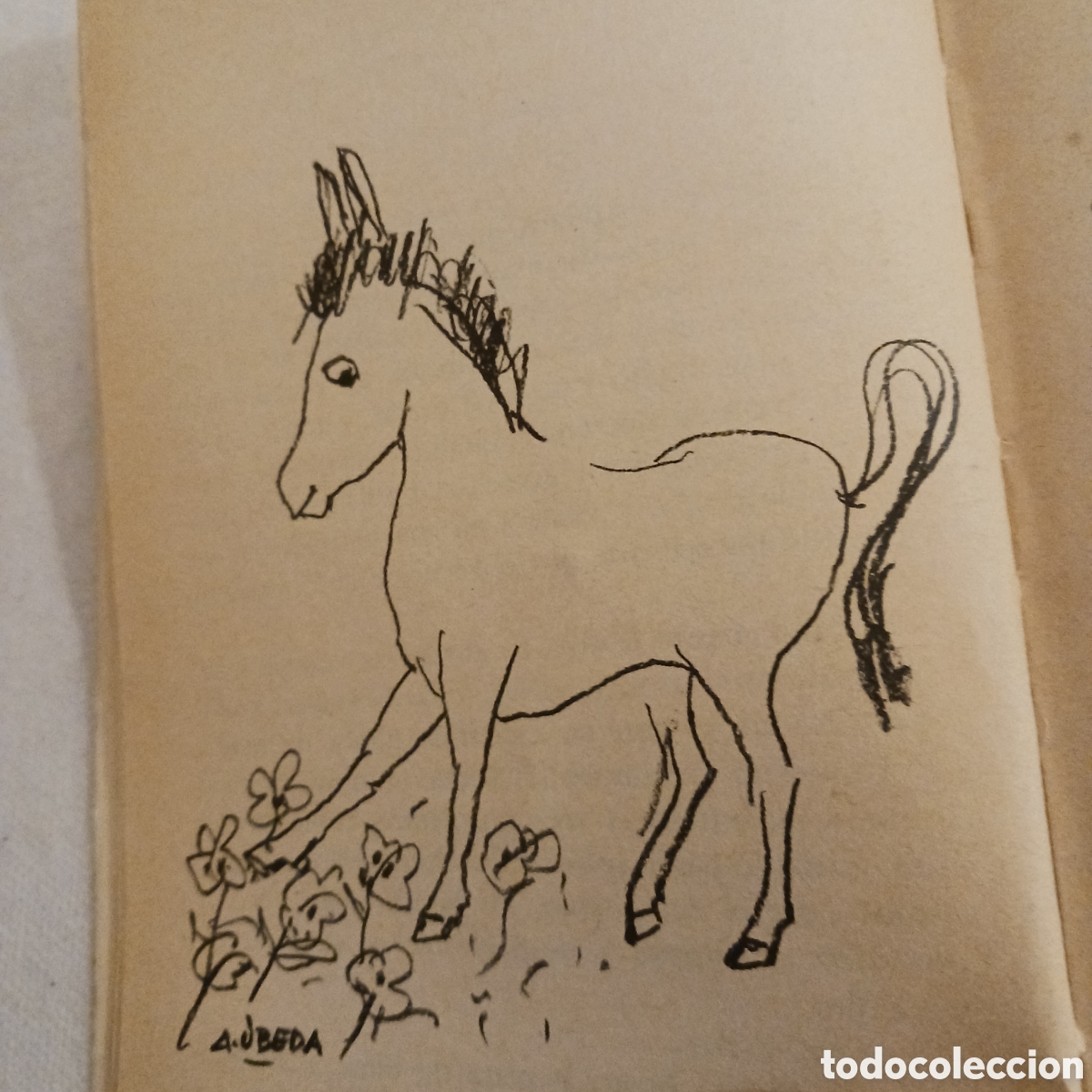 Libros de segunda mano: Platero y yo de Juan Ramon Jimenez - Foto 10