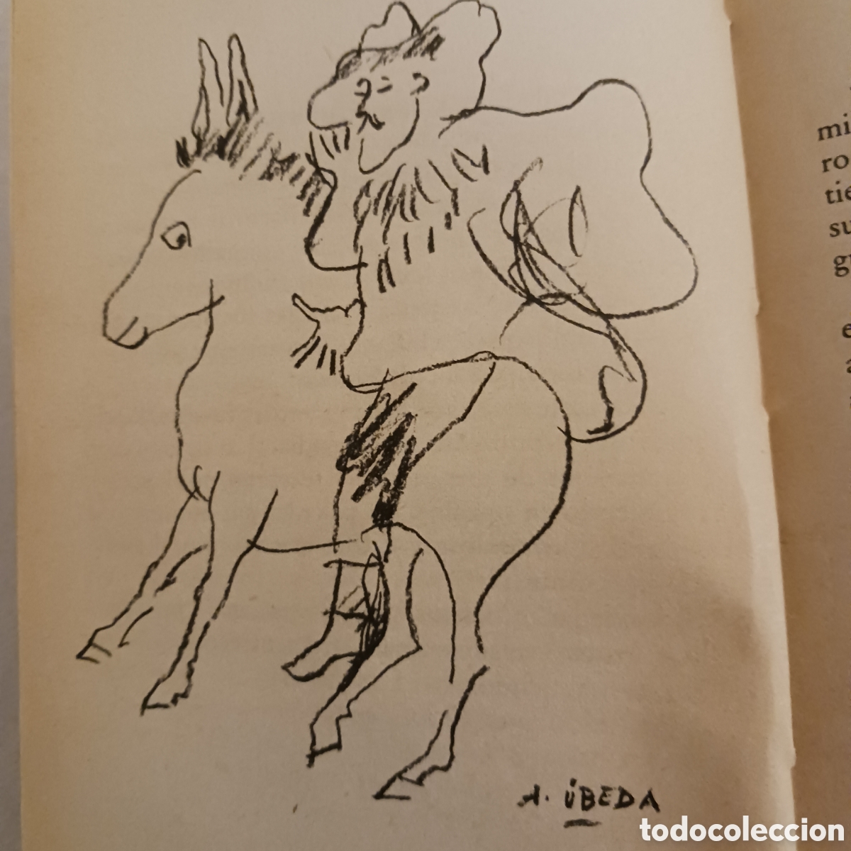Libros de segunda mano: Platero y yo de Juan Ramon Jimenez - Foto 11
