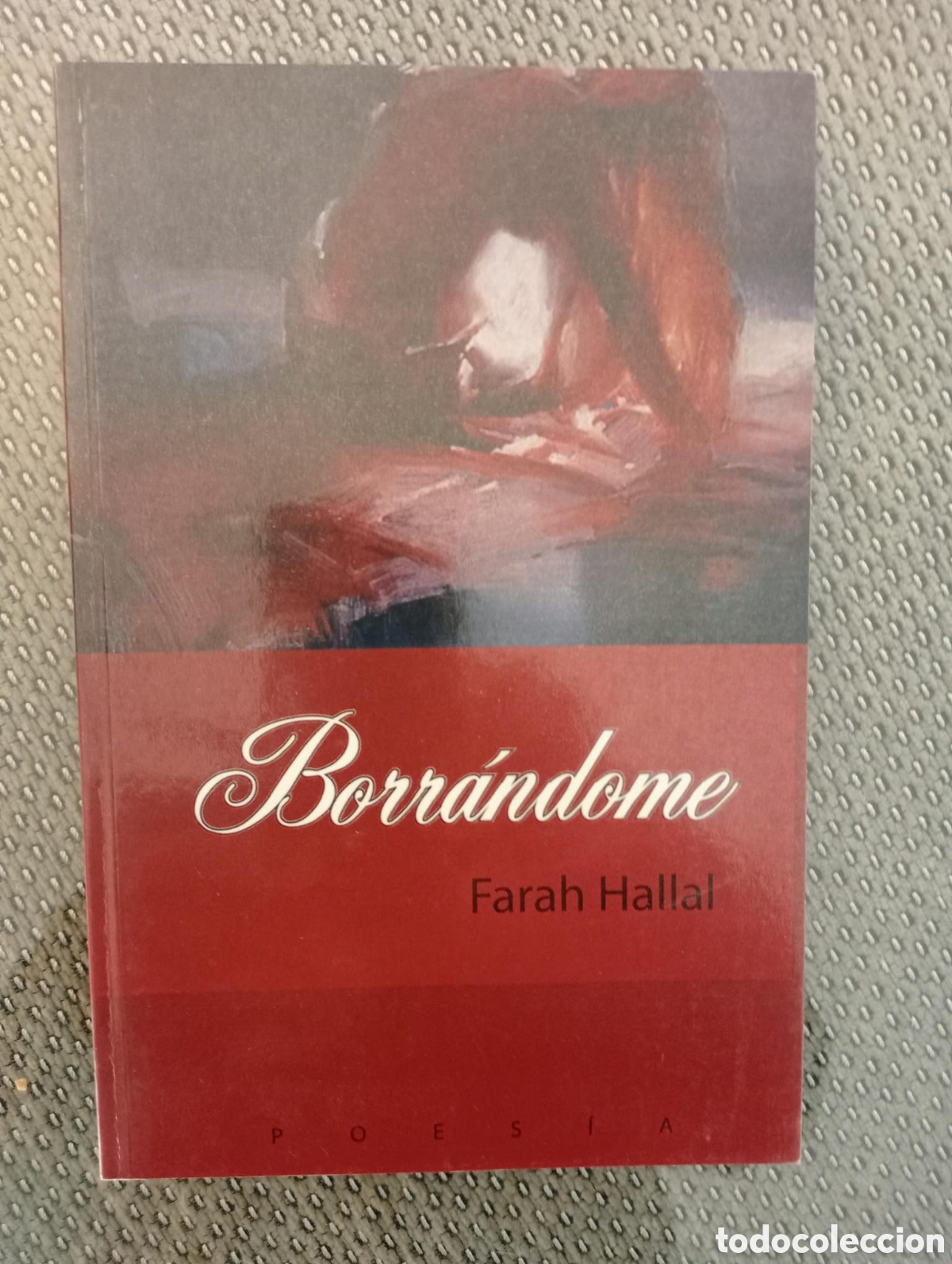 Libros de segunda mano: Borr&aacute;ndome / Farah Hallal