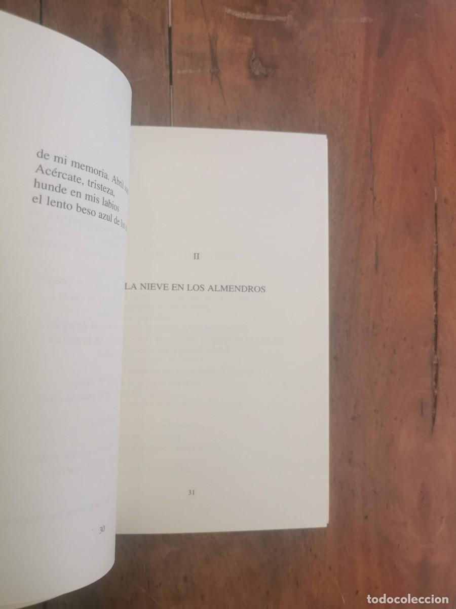 Libros de segunda mano: L&Oacute;PEZ ANDRADA, Alejandro. El rumor de los chopos - Foto 3