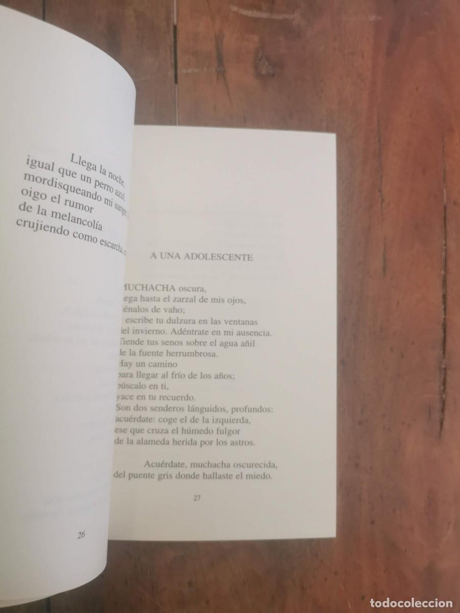 Libros de segunda mano: L&Oacute;PEZ ANDRADA, Alejandro. El rumor de los chopos - Foto 4