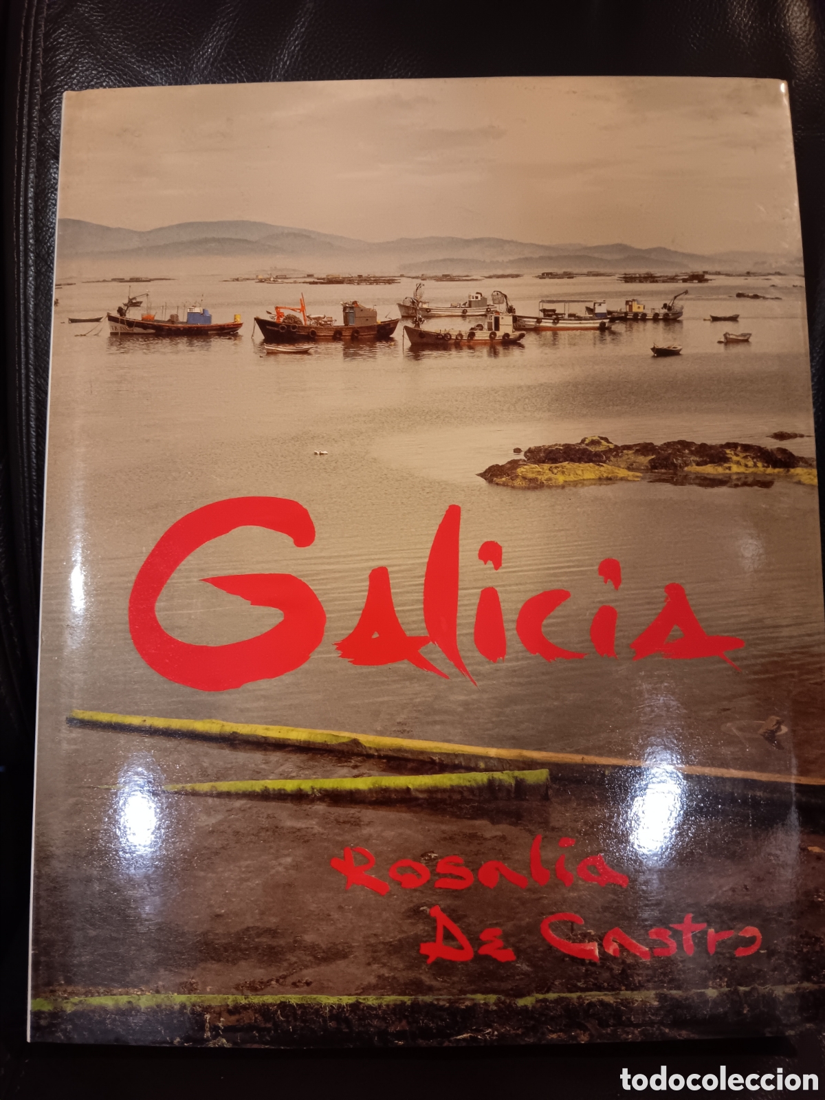 Libros de segunda mano: Galicia. Rosal&iacute;a de Castro - Foto 1
