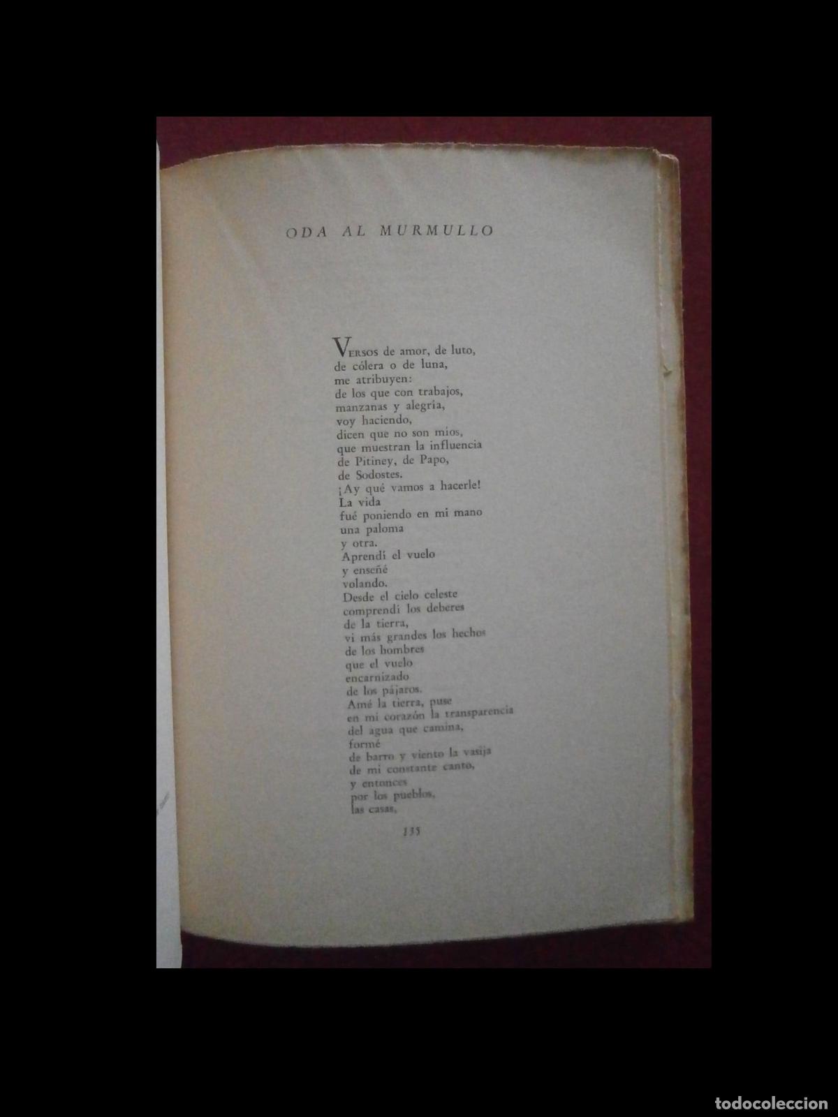 Libros de segunda mano: Odas Elementales. Pablo Neruda - Foto 2