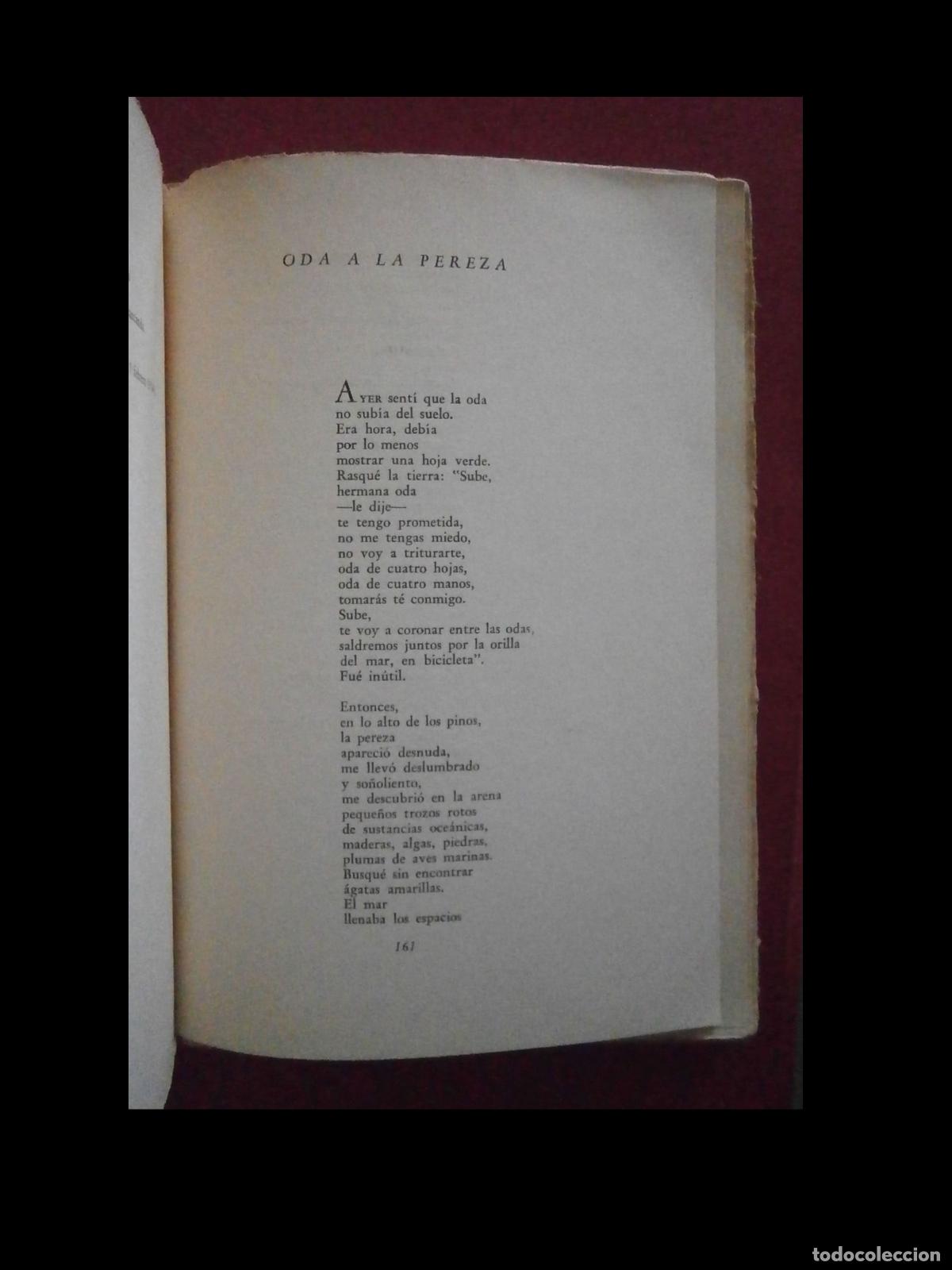 Libros de segunda mano: Odas Elementales. Pablo Neruda - Foto 3