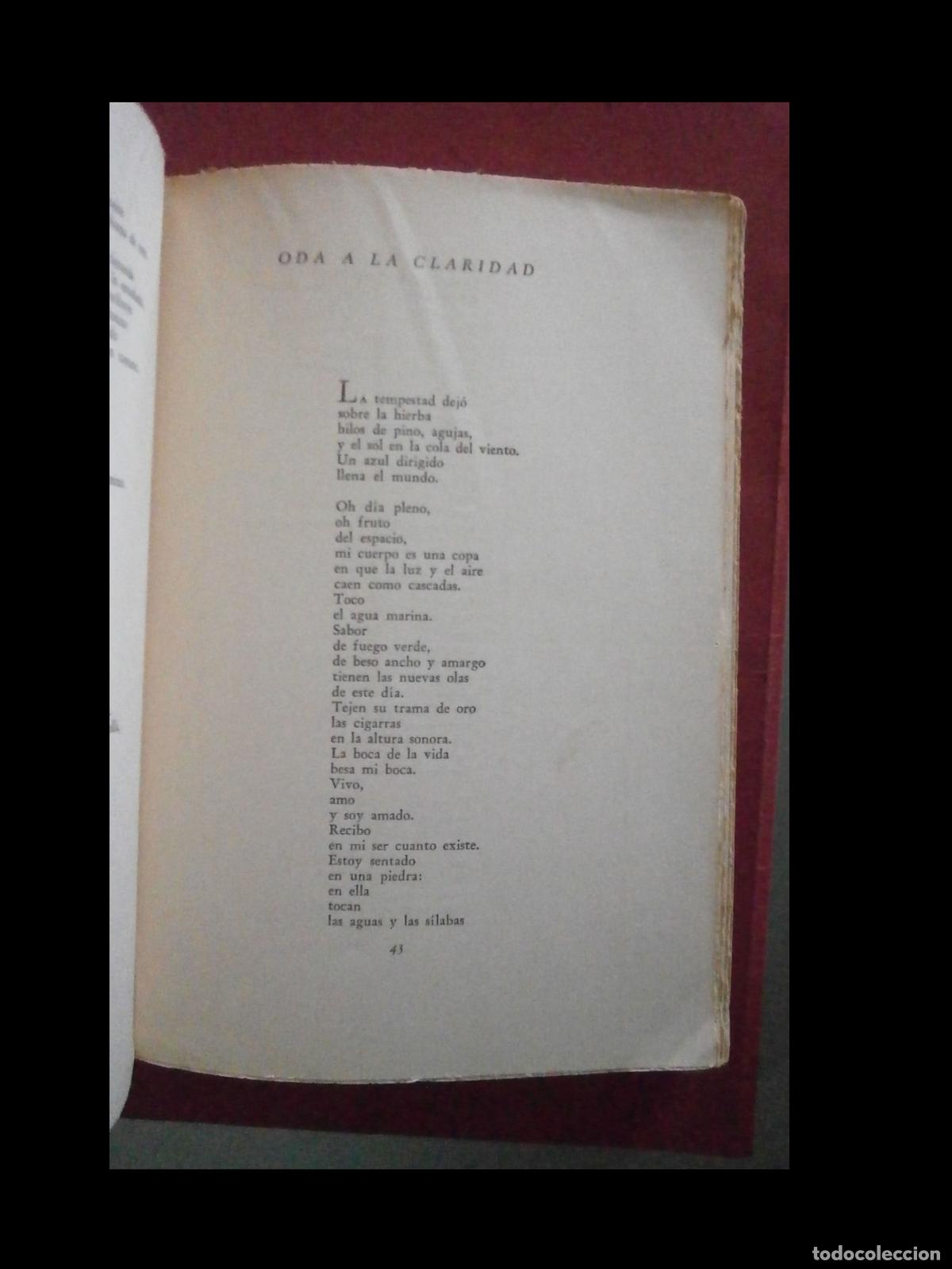 Libros de segunda mano: Odas Elementales. Pablo Neruda - Foto 4