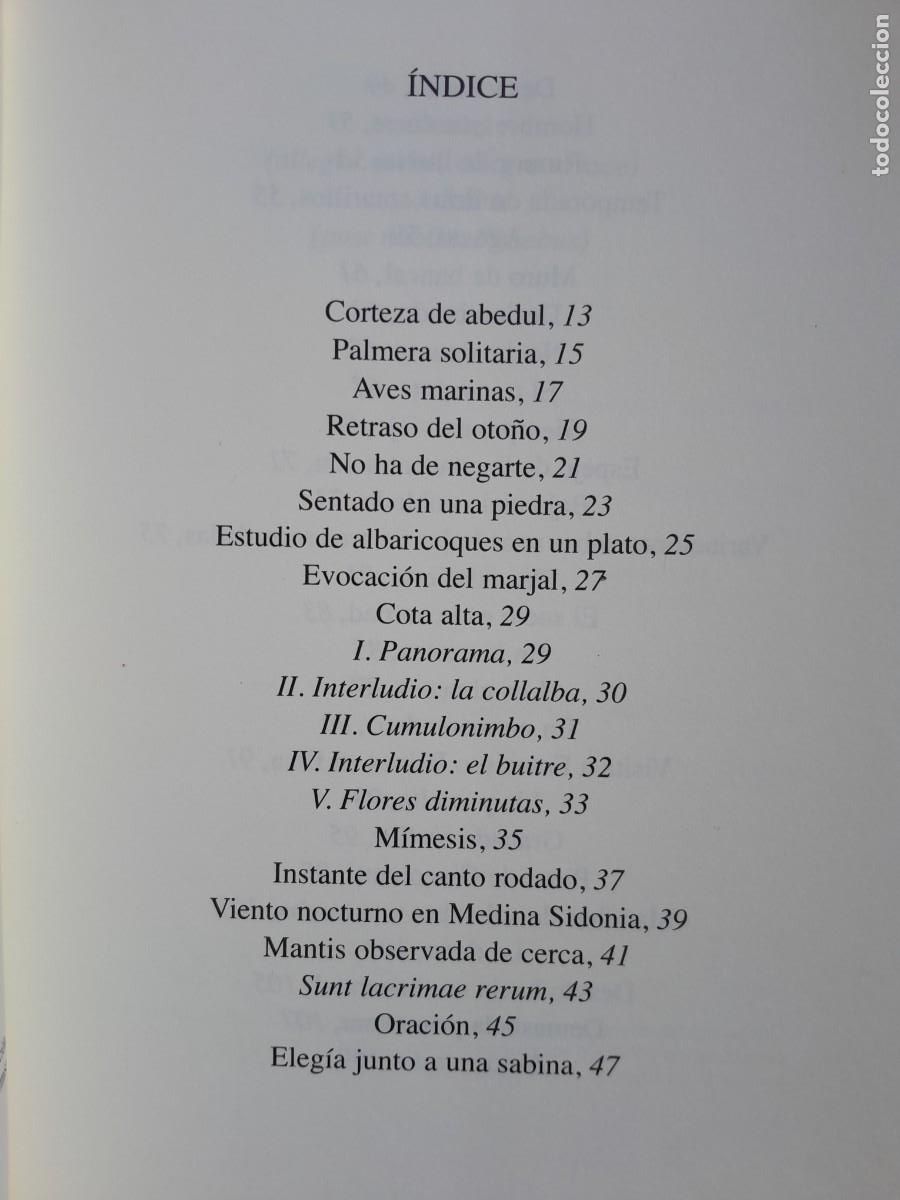 Libros de segunda mano: CORTEZA DE ABEDUL. ANTONIO CABRERA. TUSQUETS 2016. - Foto 4