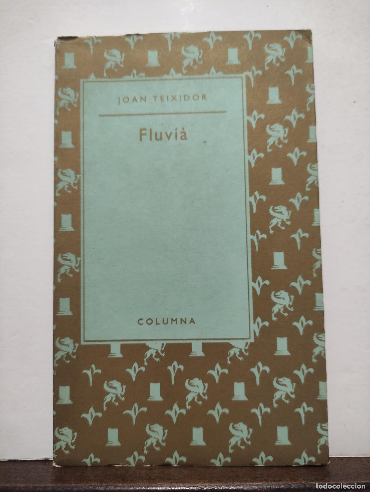 Libros de segunda mano: FLUVIA - JOAN TEIXIDOR - 1989 - Foto 1