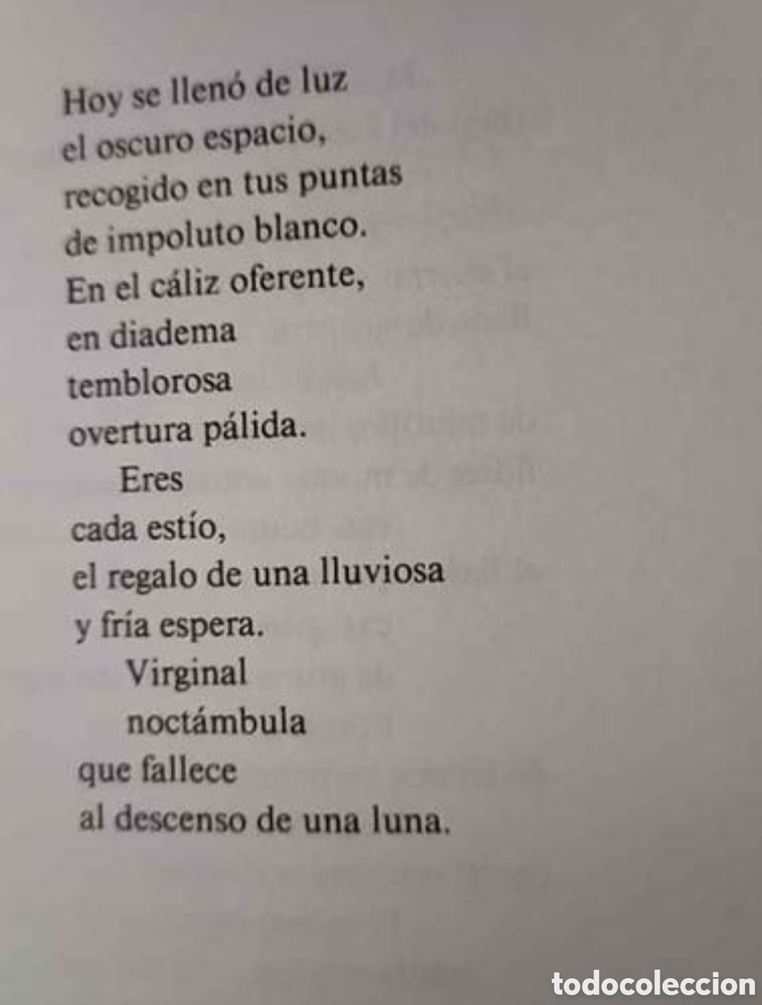 Libros de segunda mano: Genitivo. Javier de la Rosa. - Foto 3