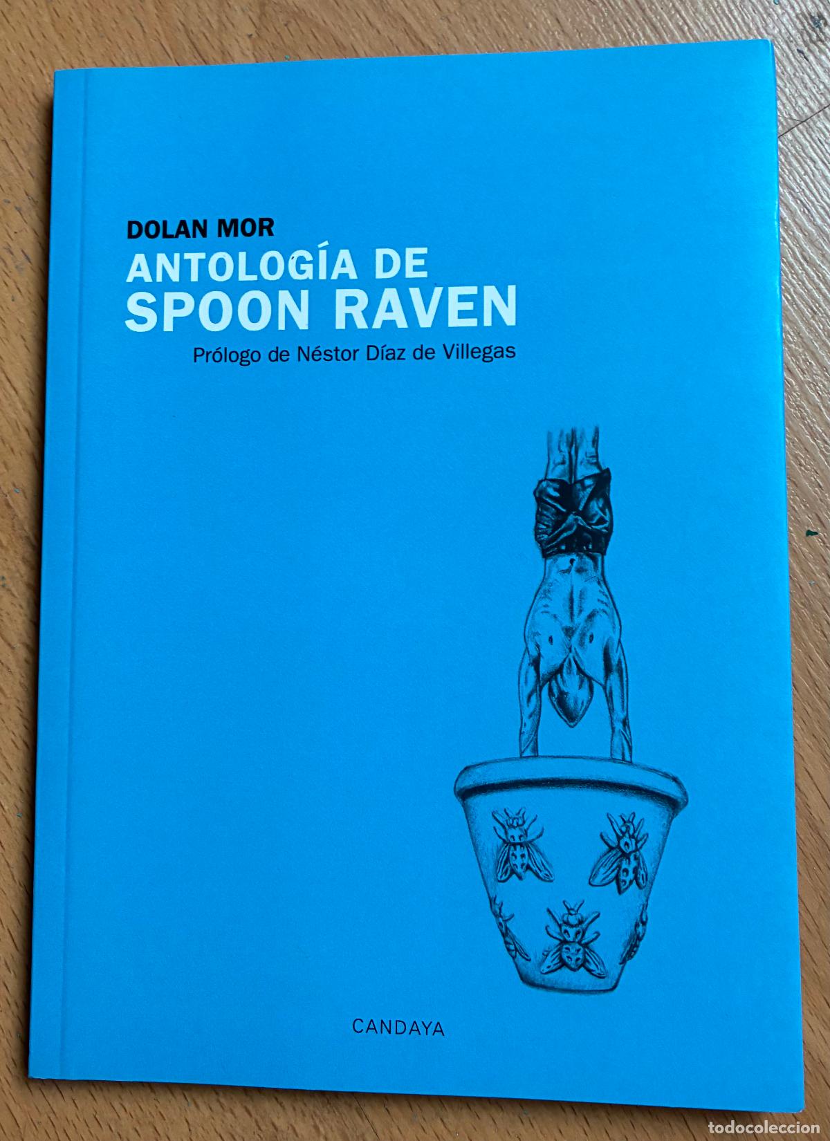 Libros de segunda mano: ANTOLOGIA DE SPOON RAVEN, Dolan Mor - Foto 1