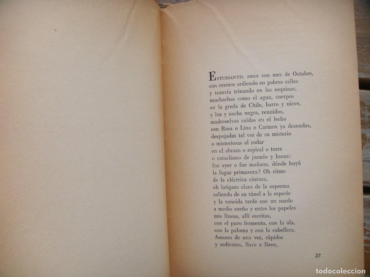 Libros de segunda mano: Pablo Neruda: MEMORIAL DE LA ISLA NEGRA. I - Foto 6