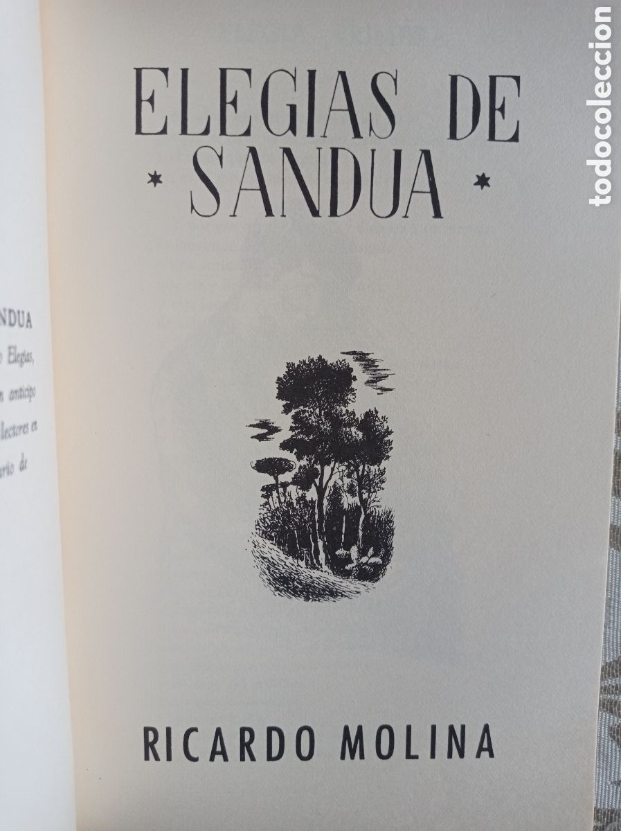 Libros de segunda mano: C&Aacute;NTICO, N&Uacute;MEROS EXTRAORDINARIOS. FACS&Iacute;MILES - Foto 2