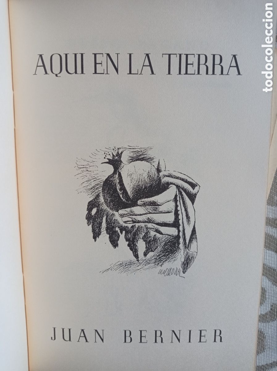 Libros de segunda mano: C&Aacute;NTICO, N&Uacute;MEROS EXTRAORDINARIOS. FACS&Iacute;MILES - Foto 4