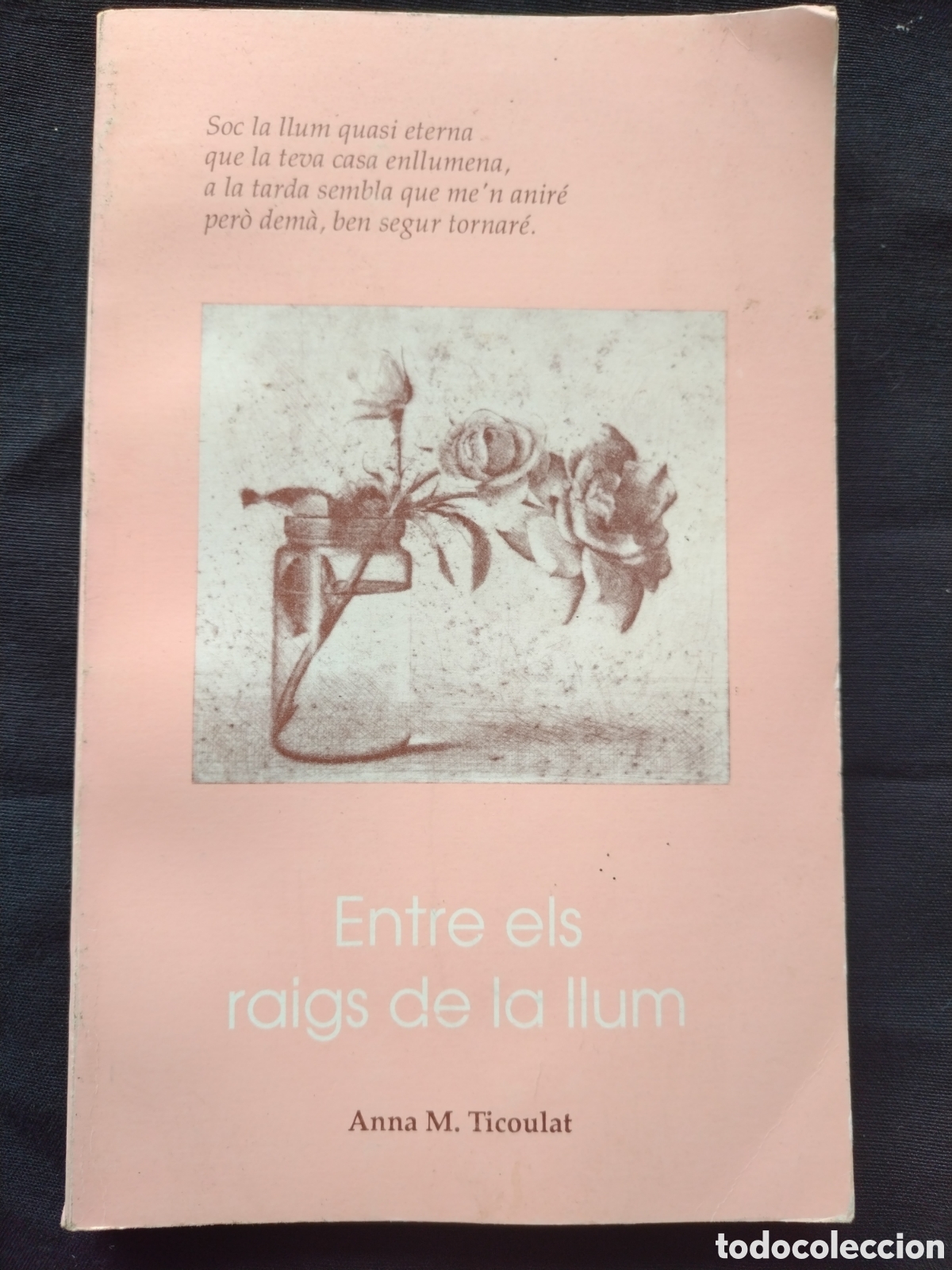 Libros de segunda mano: Entre els raigs de llum - Foto 1