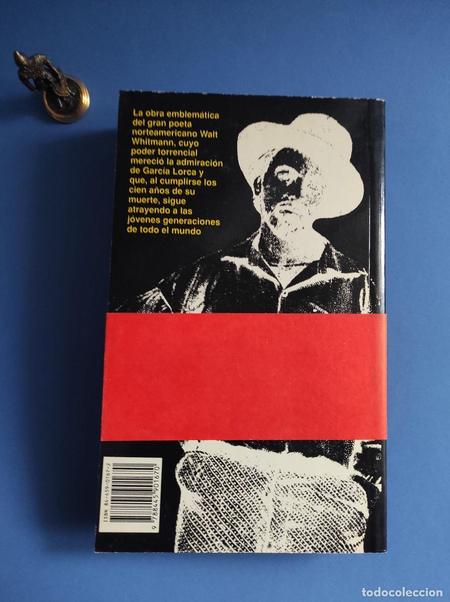 Libros de segunda mano: HOJAS DE HIERBA - Walt Whitman - Foto 2