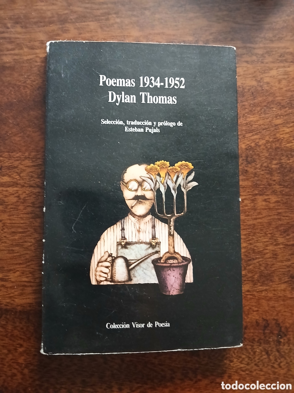 Libros de segunda mano: Poemas (1934-1952), Dylan Thomas - Foto 1