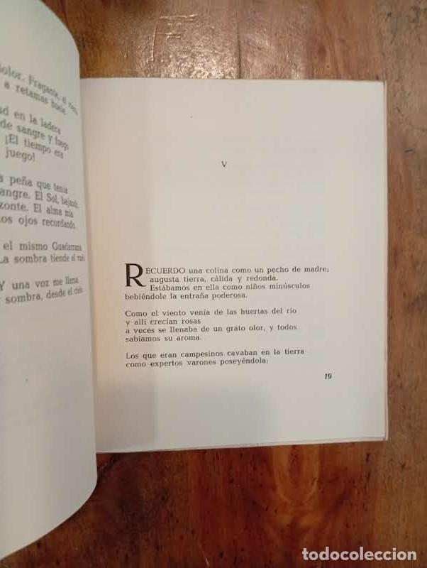 Libros de segunda mano: L&Oacute;PEZ ANGLADA, Luis. Eleg&iacute;as del capit&aacute;n - Foto 4