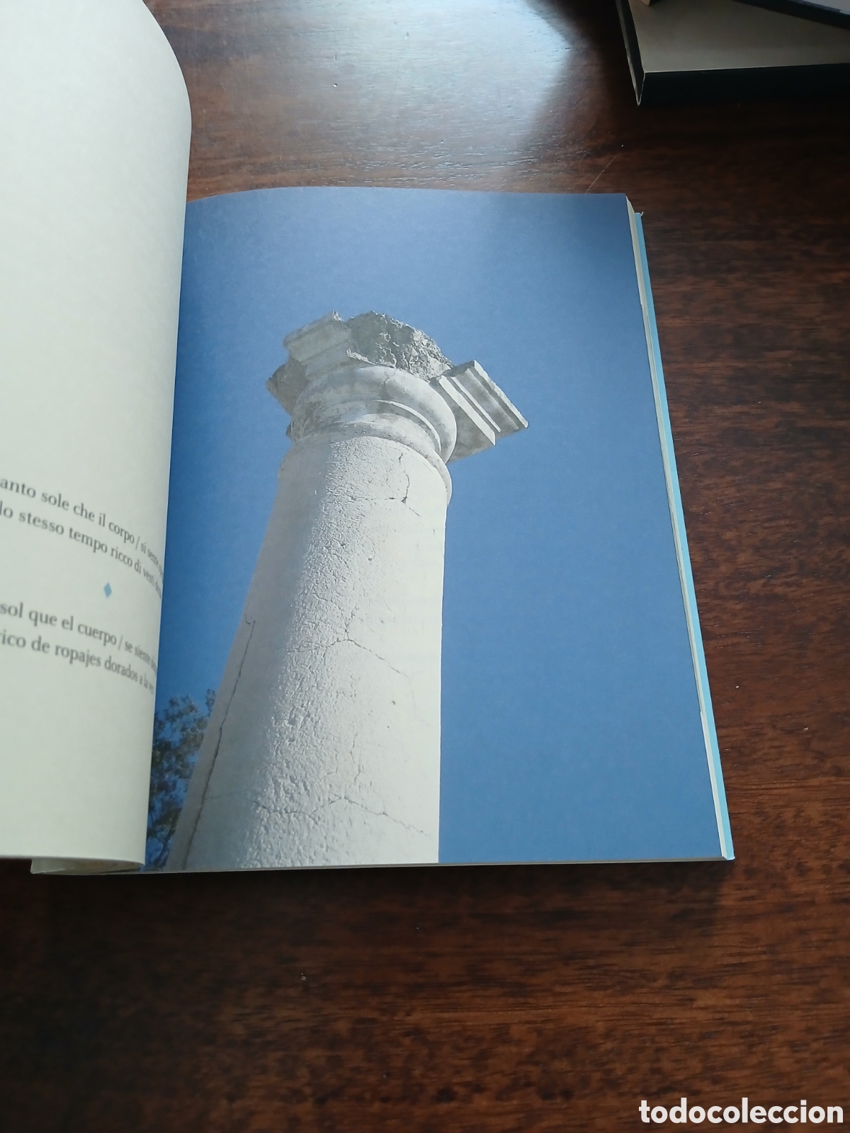Libros de segunda mano: Los limones absortos, Aurora Luque - Foto 2